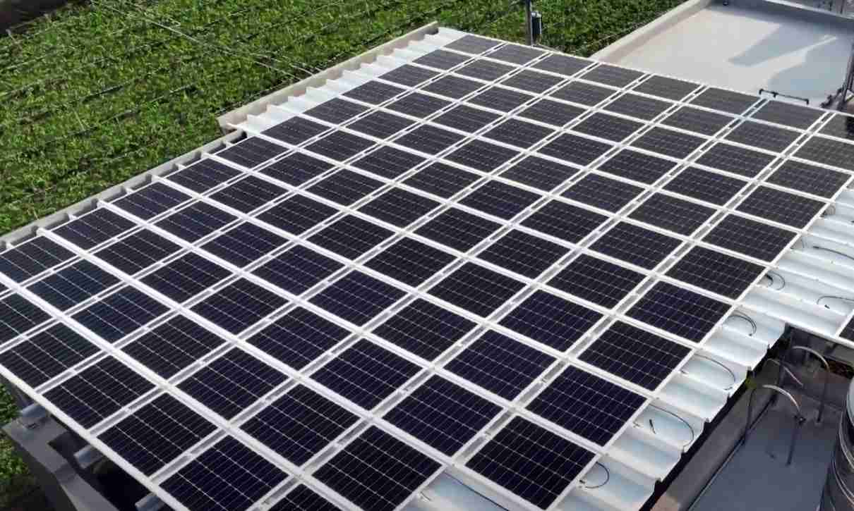 口袋牛店SunSteel光电浪板升级双玻结构，，以提升机械负载强度及气候耐候度，，可广泛运用于多元场域